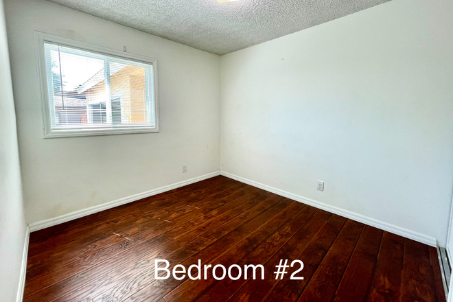 What the available room looks like - House very close to campus (has pool)
