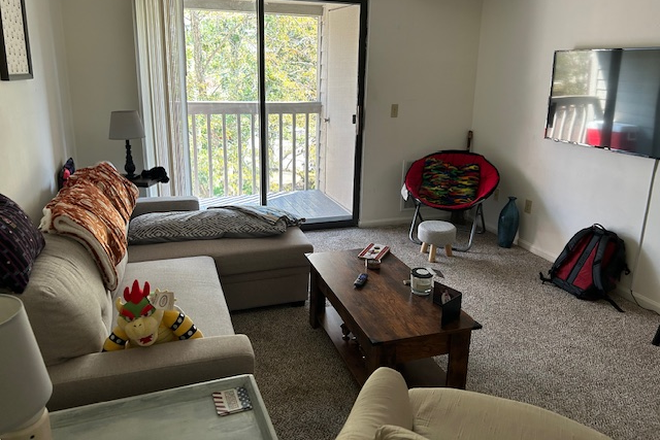 Living Room - Sundance Village/Ridge -Efficiency Condo