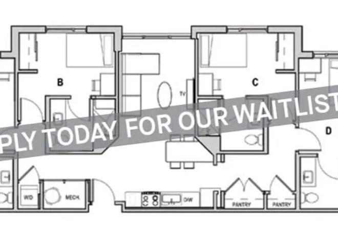 plant. The room is the D one - The Identity Apartments