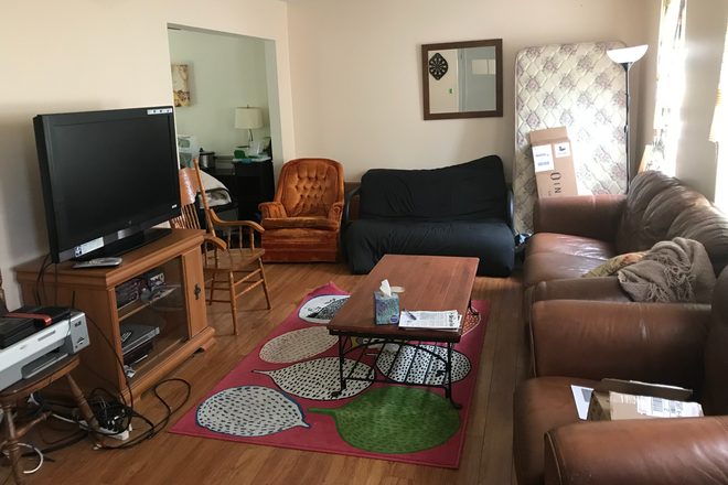 Living Room - Room in Student House Close to Campus~ 1 Rooms Available
