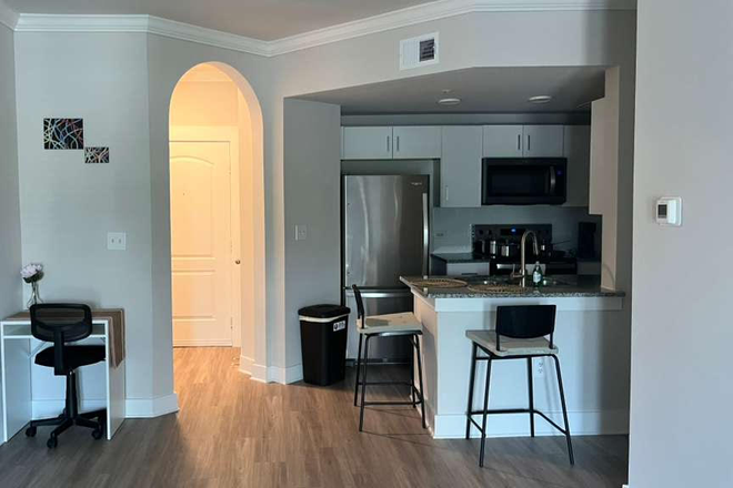 Kitchen - Furnished Midtown Atlanta apartment near Emory University Hospital!