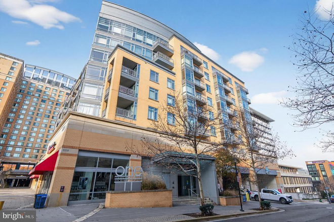 Outside View of Building - 1 Bedroom/1 Bathroom Condo CLOSE TO CAMPUS **No Roommates**