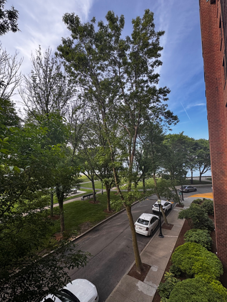 View from living room - Harbor Point Apartments