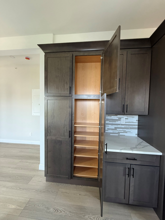 Kitchen Pantry - Andrew Square Apartment