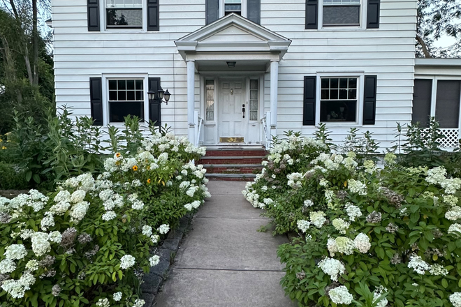 Lovely, private,,comfortable home for grad student, professor, professional  person. - Lovely home for lucky grad students. Genial landlord. SU/ESF 8 min. LeMoyne 2 blks On busline