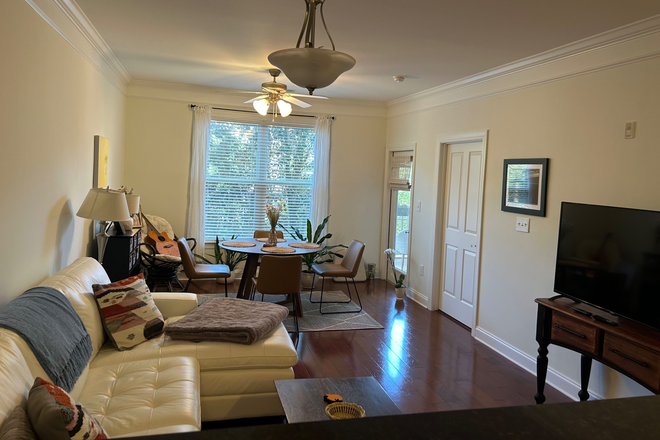 Living room - Quaint 1BR/1BA Condo At The Arboretum of West Ashley