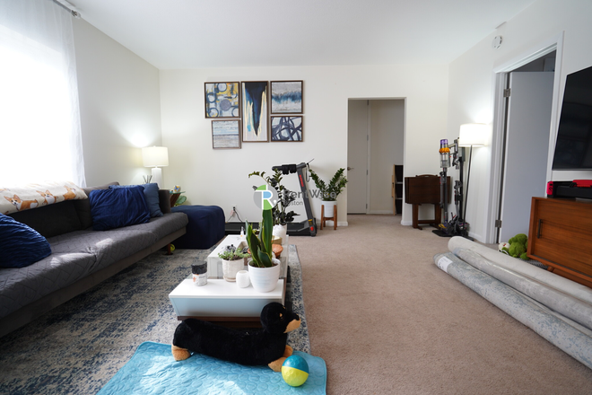 1 - DEC 2025-Incredible Brighton 2 bed, H/Hw/Parking inc. Pets OK, NO FEE!