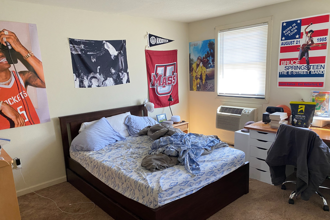 Master Bedroom - Townhouse of Amherst 1 Bedroom 1.5 Bathroom Spring Semester Sublease!!! Entire Place to Yourself!