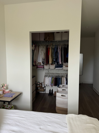 Walk-in Closet - Apartment Unit at The Row