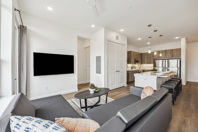 Living Room and TV - Summer Sublease - The Nest on Sunset (1b/1b in 6b/5b Unit) Apartments