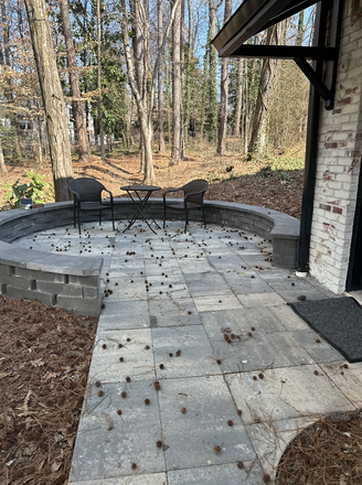 Lower Unit Outdoor Lounge - Private, Fully Furnished Suite - Private kitchen, washer, wifi + more! Apartments