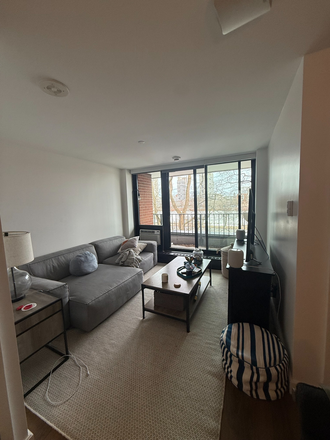 Living Room - Soldier Field Park; 3 Bed Apartment Summer Rental