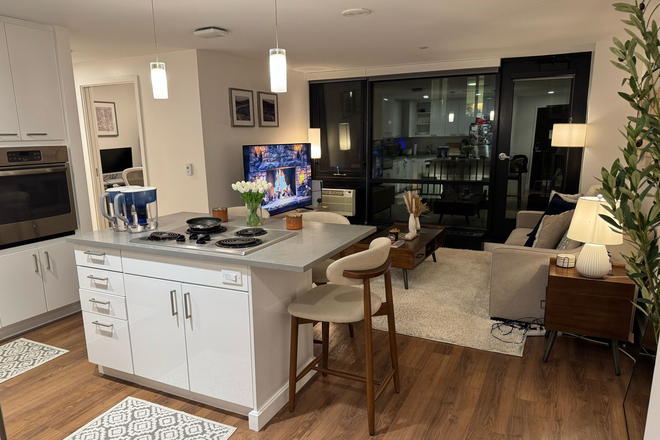 Living Room - 1BR Soldiers Field Park Apartment (on HBS campus, Cambridge)