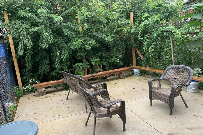 Back yard - 1515 N. Bouvier Street #1 Duplex