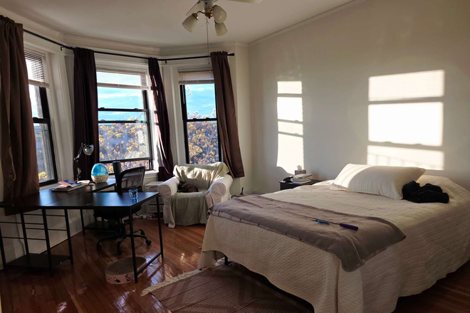 A Spacious Room (225sf) with Bay-windows in 3Bed/1Bath Female Apt at 1258 Commonwealt Av at $1375/month for Summer & $1475/mon for Foe Set 1 - Furnished Room + In-unit Laundry,  in Allston nr BU, Shops, T to NEU & Downtown, Incl Heat/Gas, N