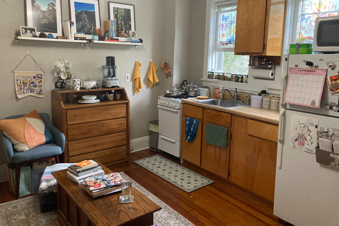 Kitchen and living area - 1BR Apt-Spruce St-Princeton