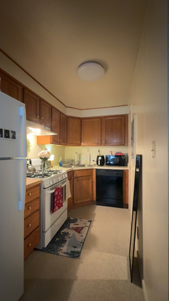 Kitchen - Puffton Village Spring Sublet OR Lease Transfer Apartments