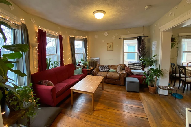 Living room - SUBLET in lovely apartment in Brookline near Coolidge Corner available NOW/starting Dec 1 t
