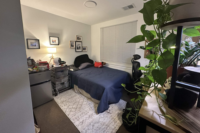 Bedroom (Furnished) - South Campus Commons Building 3 Room 3310B - 4 Bed 2 Bath Apartment