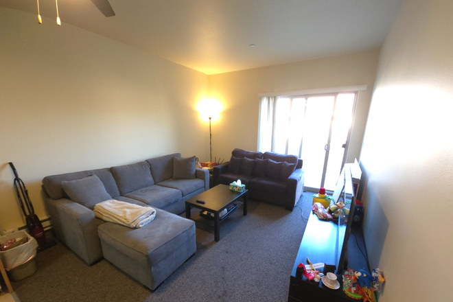 Living Room - Private Room in Verano Graduate Housing Apartments