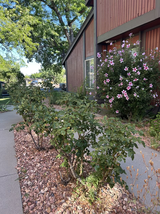Townhome outside entrance - Quiet, Private Refuge, Close to campus, Saltwater Pool! Townhome