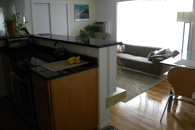 Kitchen/Living Room 2 - 70 Park Street, Unit #22 (10 min walk to Harvard Sq) Apartments
