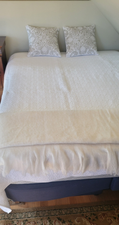 Bed - Room in home-Coolidge Ave-Lawrenceville