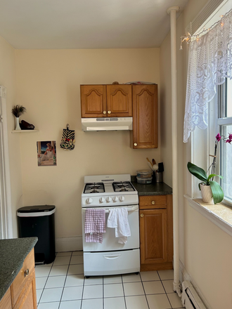 Kitchen - 133 Peterborough Street Apartments