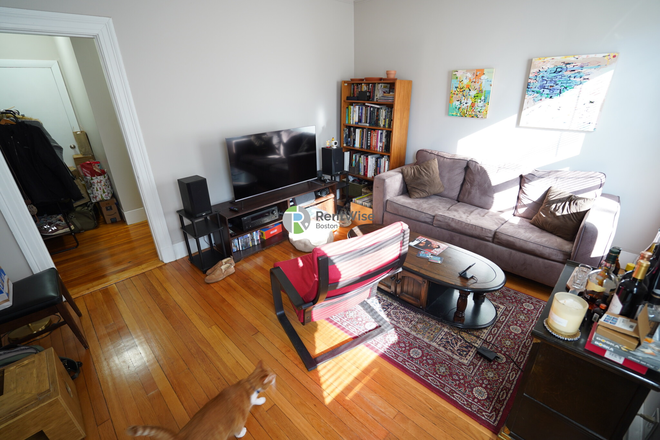 1 - AUG 2025-Gorgeous Allston 1 bed, Recently Renovated. Cat ok!