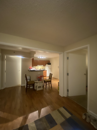 Kitchen & living room. Bedroom door on the right, bathroom door on the left. - City Lofts Apartments Apartment 119