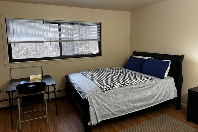 Furnished bedroom - Furnished room in shared apt-Mulberry Row-Princeton