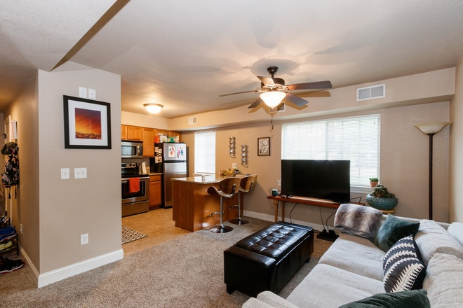 Living room - Close to UI Hospital, Dental & Law School, 2 miles from downtown and U of I main Campus. Condo