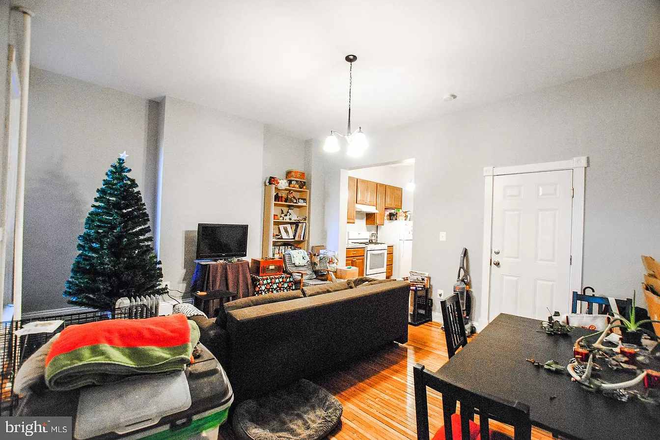 Living Room - Charming Apt in leafy neighborhood