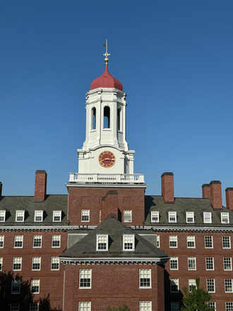 Dunster Tower is what both rooms look out to with beautiful green trees, grass, and shrubs. It lights up at night. - Harvard Housing - Clean, Bright, and Airy - 2BR (or 1BR + office) furnished apartment