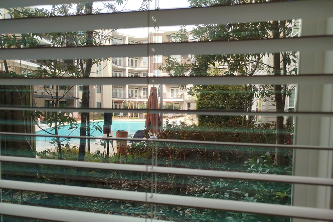 window - Platform apartments
