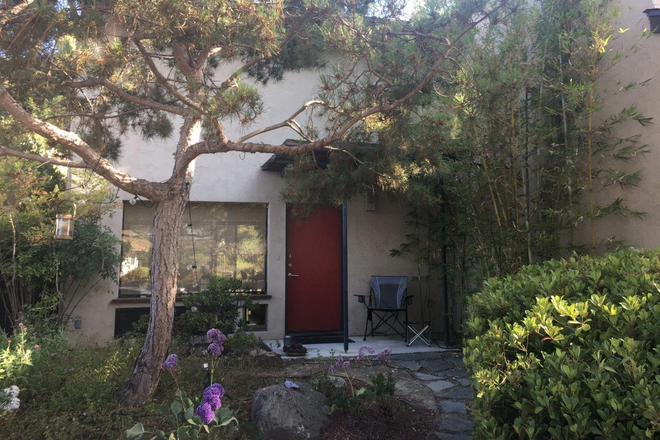 Outside street view - Beautiful garden home close to campus