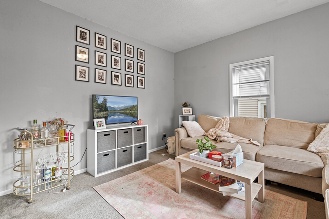 Living room with lots of light - Renovated 3 Bedroom/2bath duplex - 6 blocks to campus