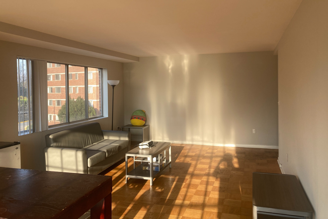 Living Room - Summer Sublet at the Social North Charles - Furnished, 10 min walk to JHU Apartments