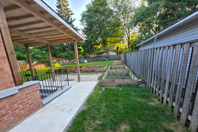 Backyard - Minnacote Ave House