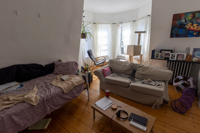 Living room - 1 bed/1bath -- Harvard Square - September 1st Apartments