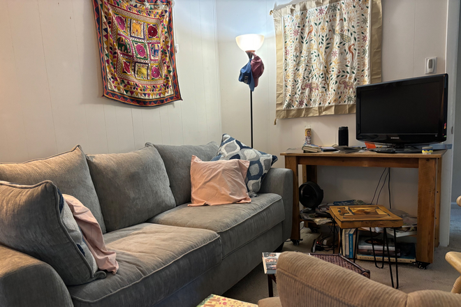 Living room - Room and amenities north of DukeEast, near biketrail, safe, quiet