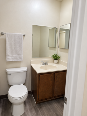 Bathroom - Available Now! Spacious 3-Bedroom, 2.5-Bath Home Steps from Campus—Hardwood Floors & Central A/C!