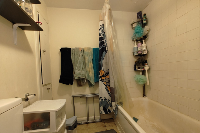 - - No Broker Fee! Close to Campus! 5 bed 2.5 bath w/ Laundry Apartments