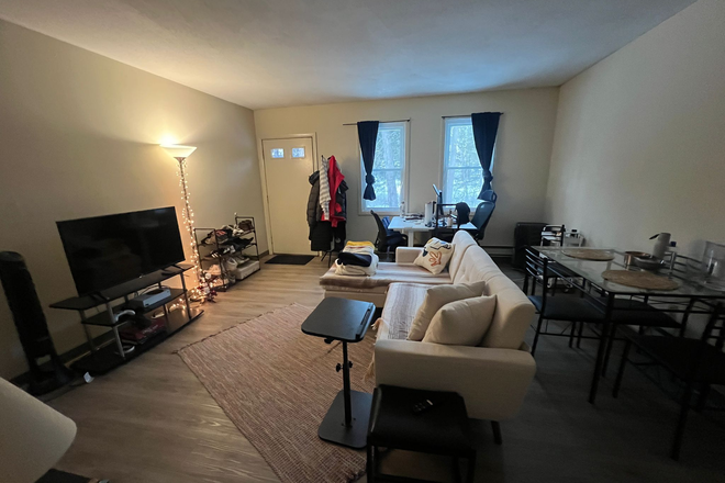 living room - Spacious 1-bedrom apt, summer sublet