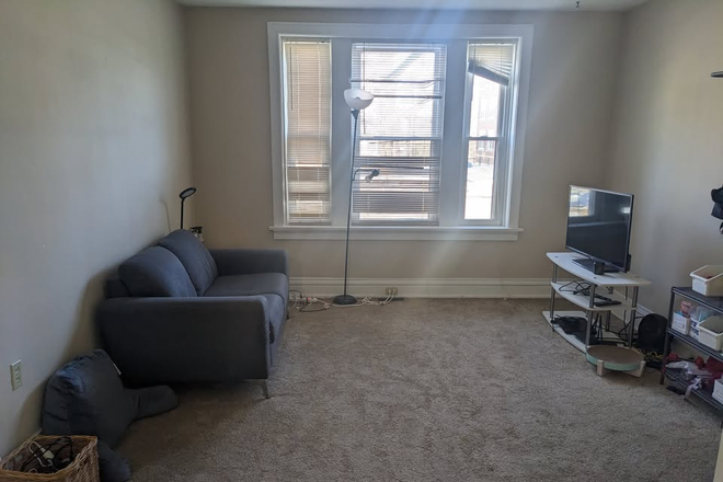 Living room - 1B1B Winter Sublease at 805 Leland Apartments