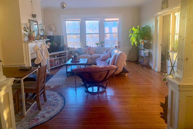 Living room - Spacious 3-Bedroom Apartment in classic Comm Ave Brownstone