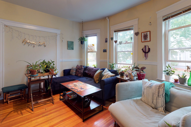 Living Room - NO FEES! Furnished 4 bed minutes to Tufts, Harvard, MIT , Davis Sq & Red Line! Apartments