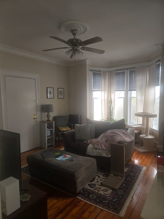 Livingroom - Very spacious one bed with high ceilings
