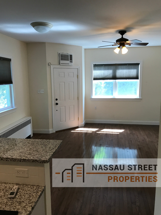 Livingroom - 1BR apt-Maple St-Princeton