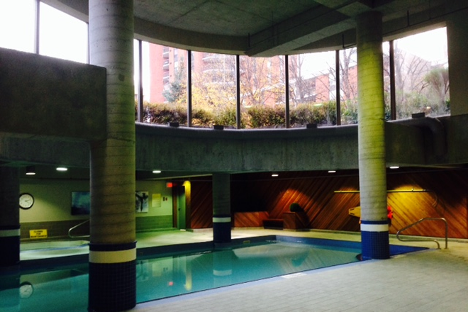 POOL WITH HOT-TUB LOOKING OUT FROM GYM - *WALK UofT SUNNY 2NDFLOOR BEDROOM BEAUTIFUL CREATIVE HOUSE PRIVACY 4LEVELS POOL ALL NEW RENO